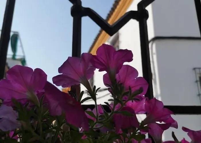 Boutique La Llave De La Juderia 3*