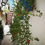 Boutique La Llave De La Juderia 3*