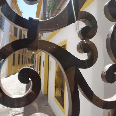 فندق Hotel Boutique La Llave De La Juderia 3*