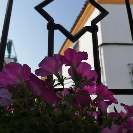 Hotel Boutique La Llave de la Judería 3*