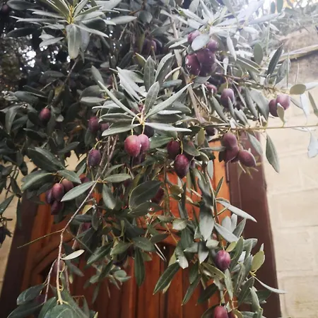 La Llave De La Juderia Boutique Hotel Córdoba